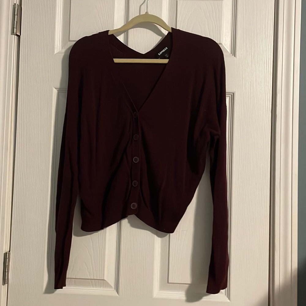 Express V-Neck Sweater - Size Small
